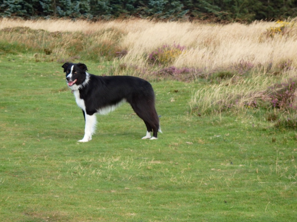 Bryn at Natsworthy 2