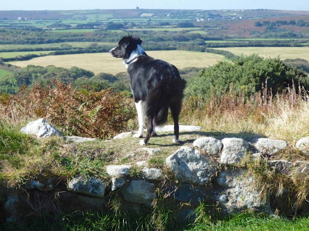 Bryn looks out from Chysauster