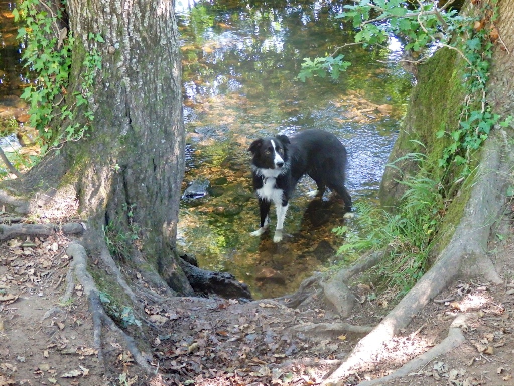 Bryn in the Bovey