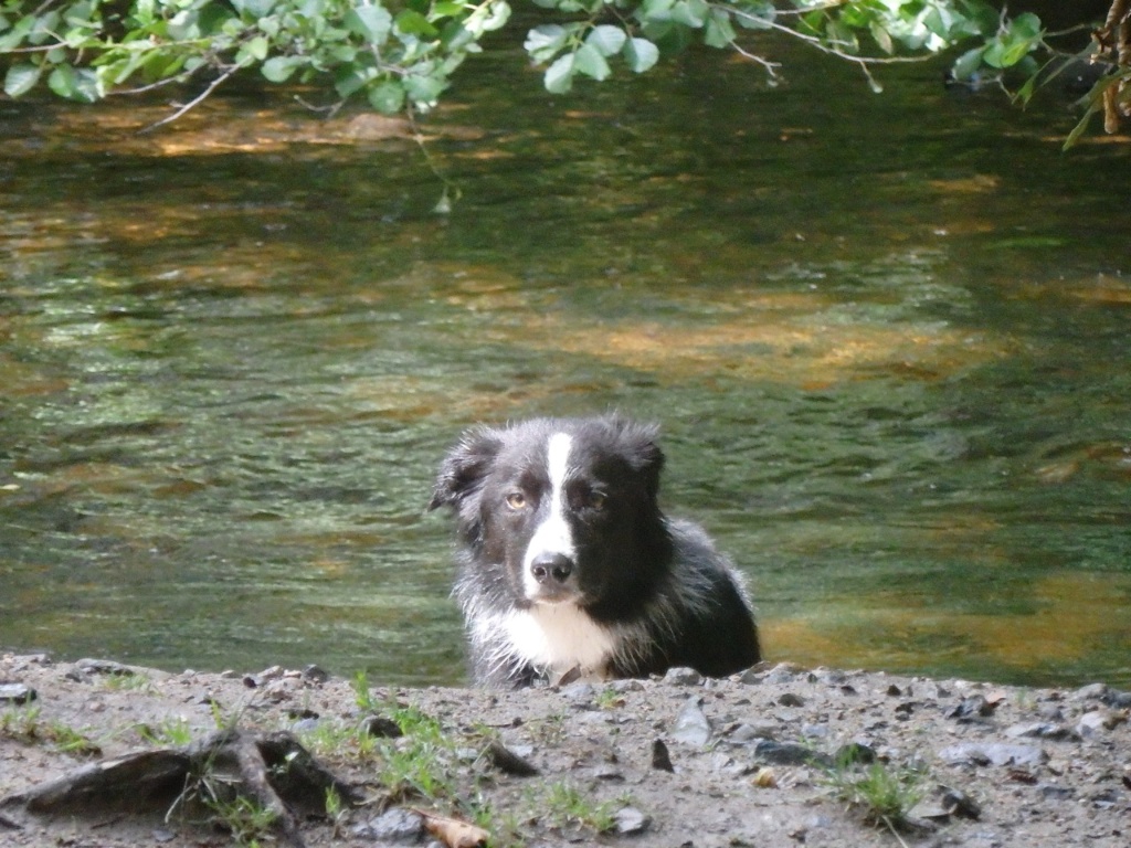 Bryn in the Bovey