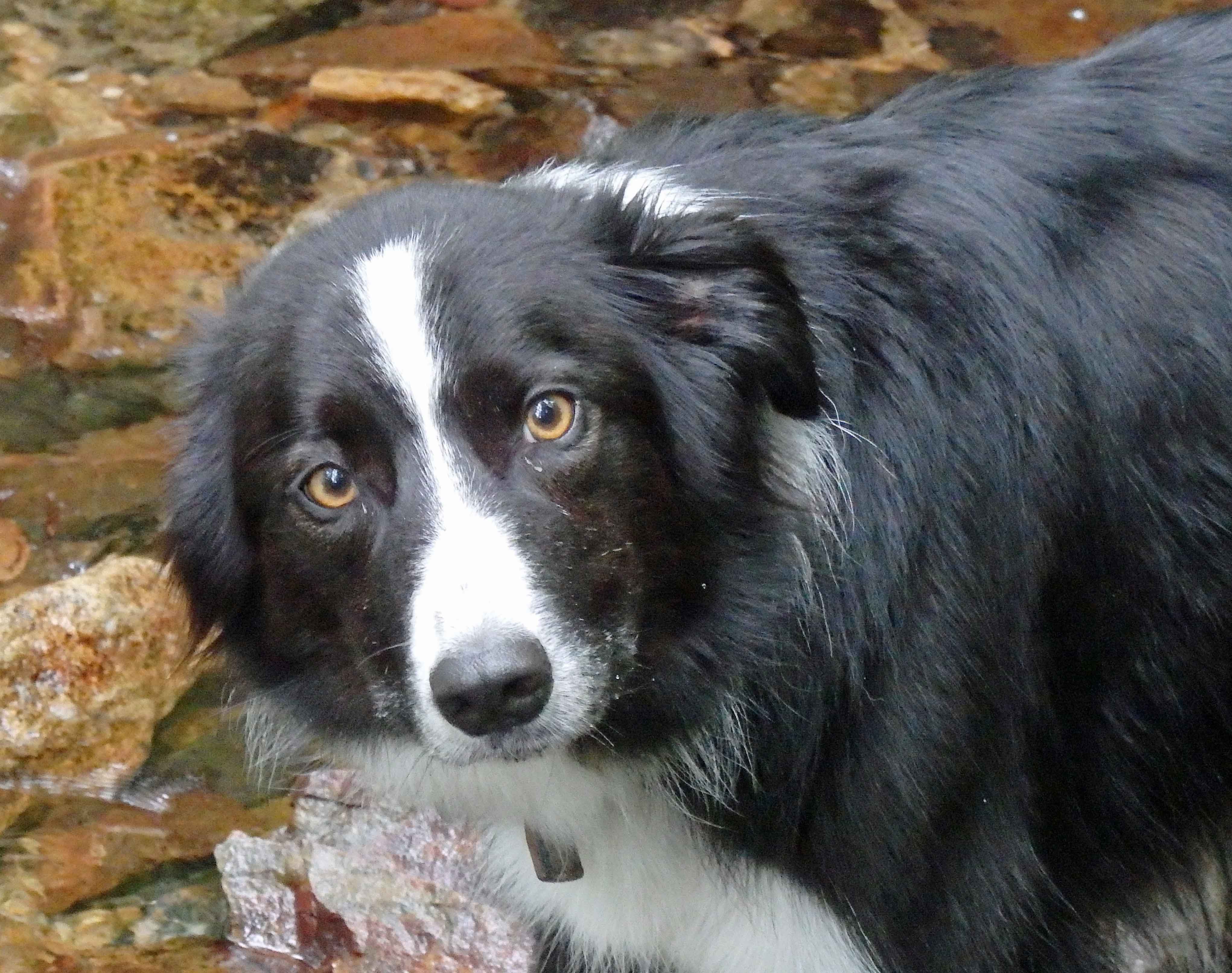 Bryn in the water