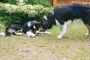 Tirn shows Tash his toys