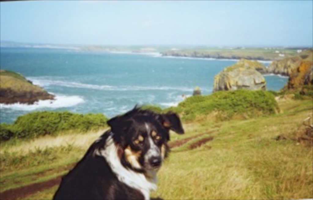 Tirn above Mullion