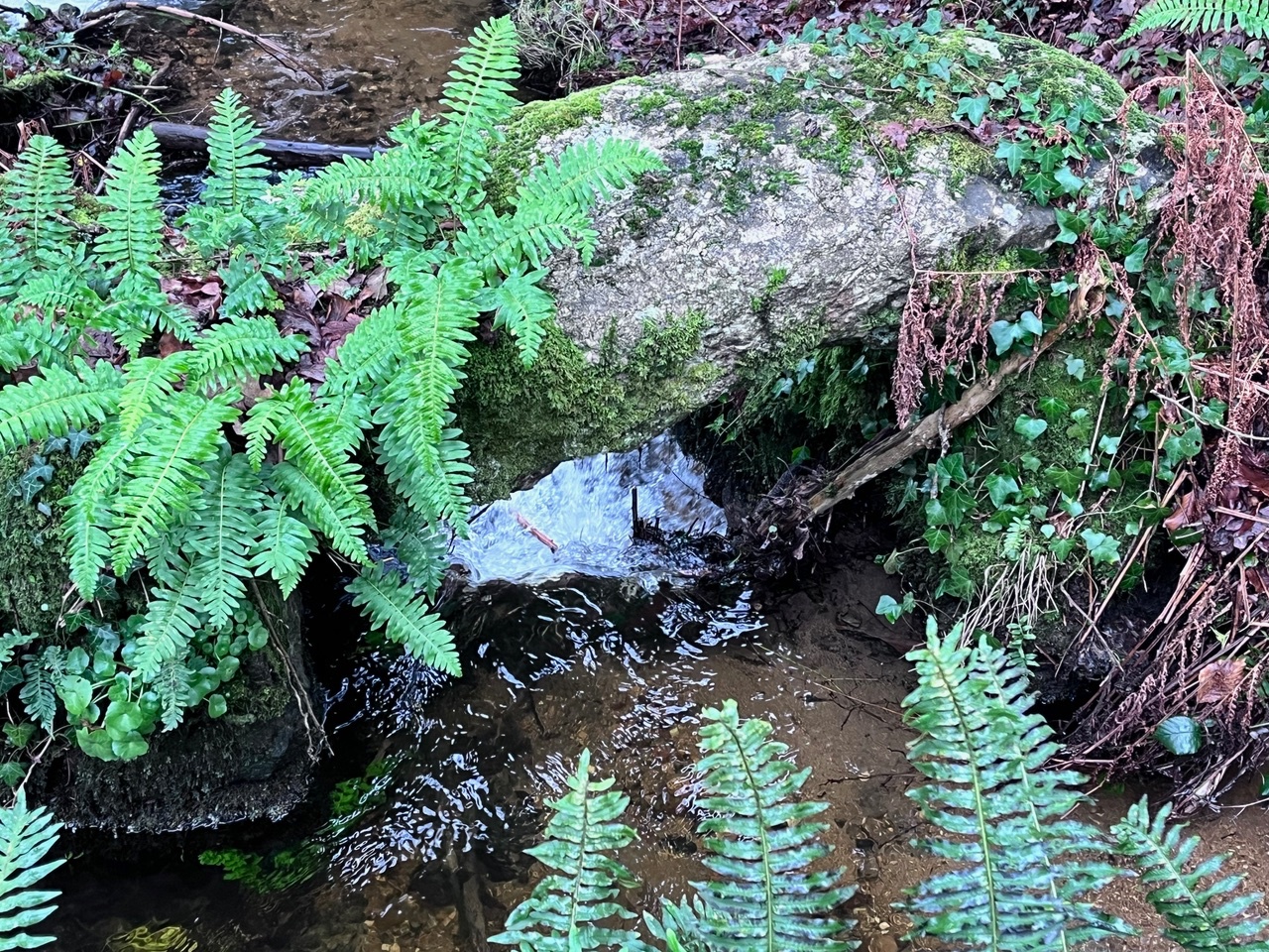 Lichened granite bridge