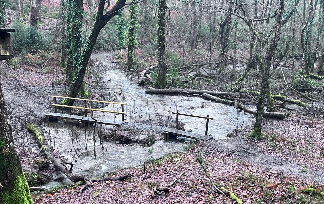 Yarner Wood footbridges