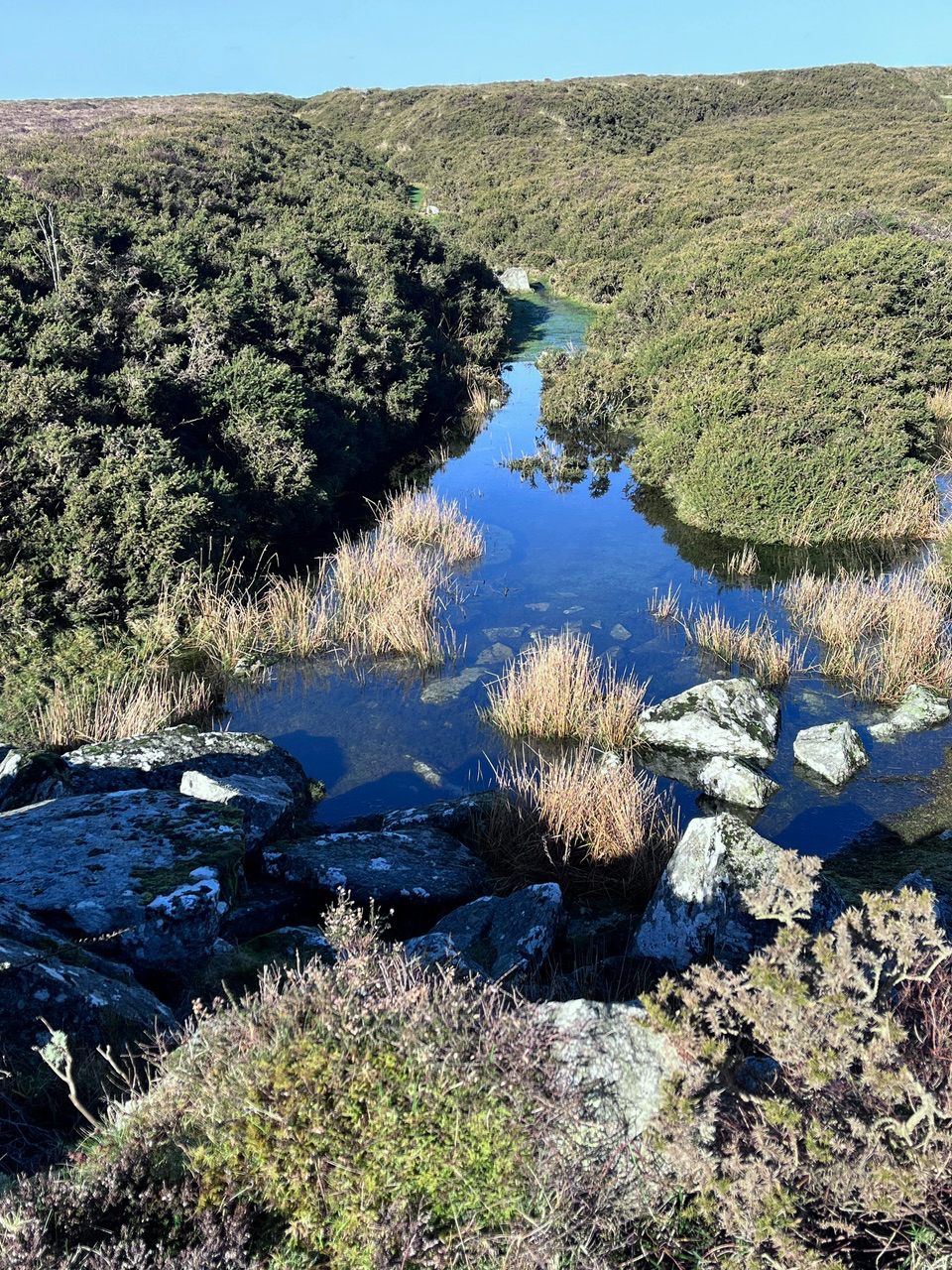 Black Hill pool 1
