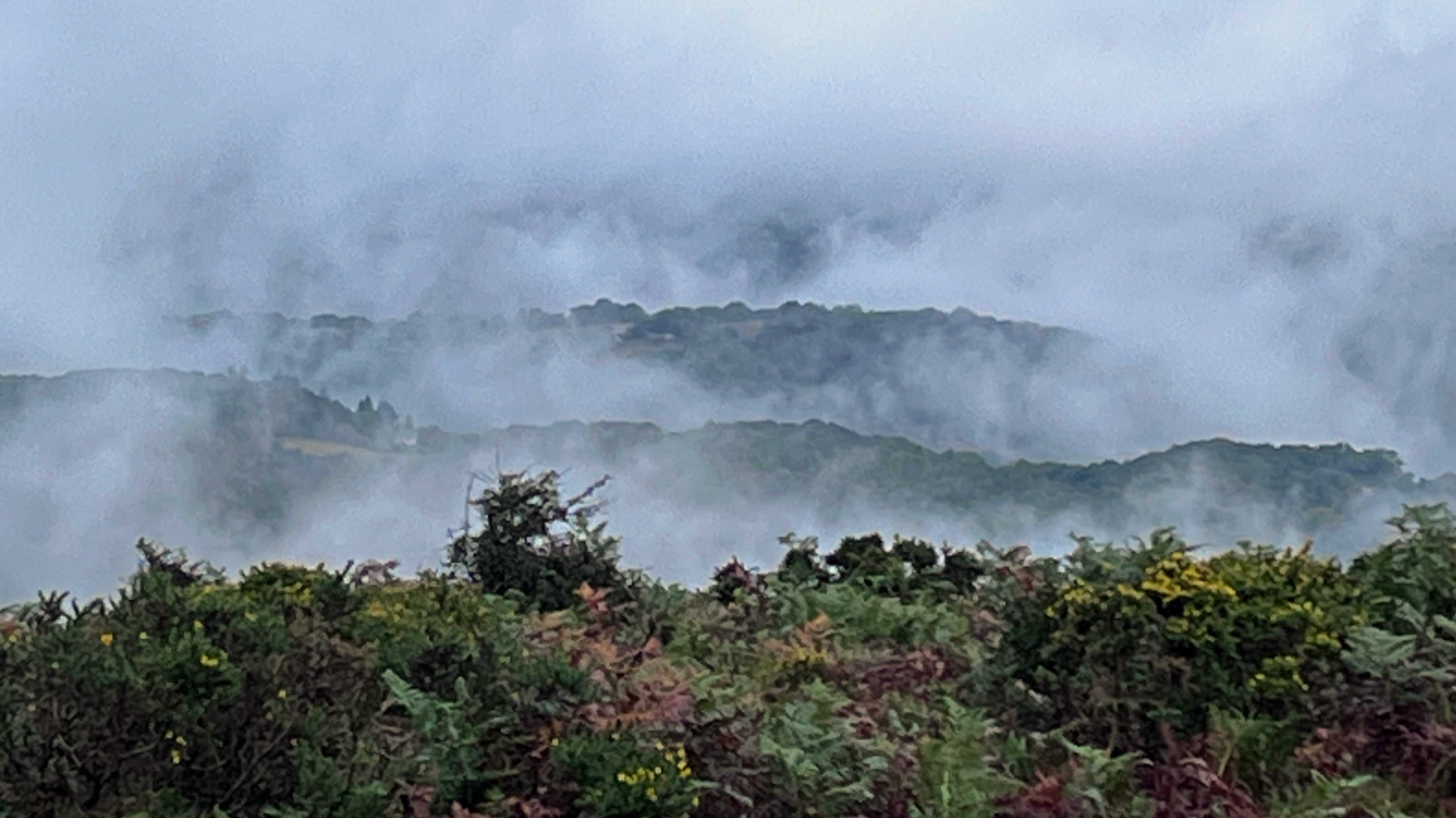 Autumn moorland mist
