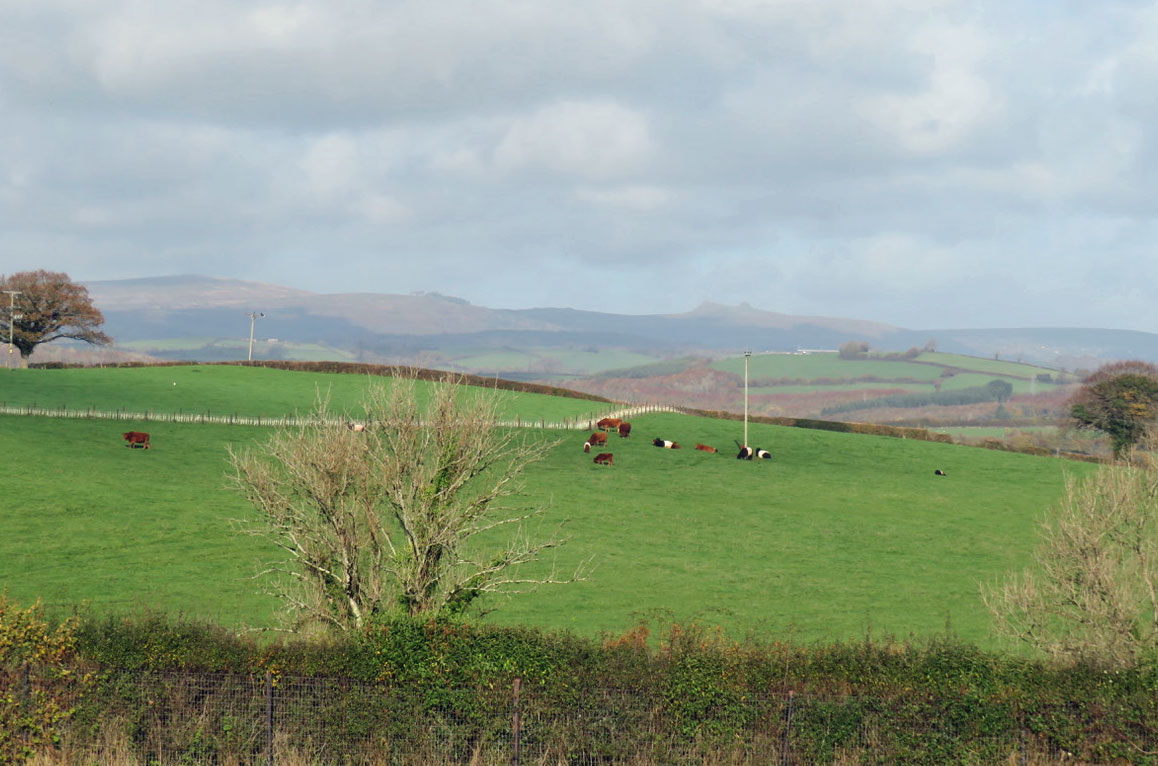 Dartmoor view