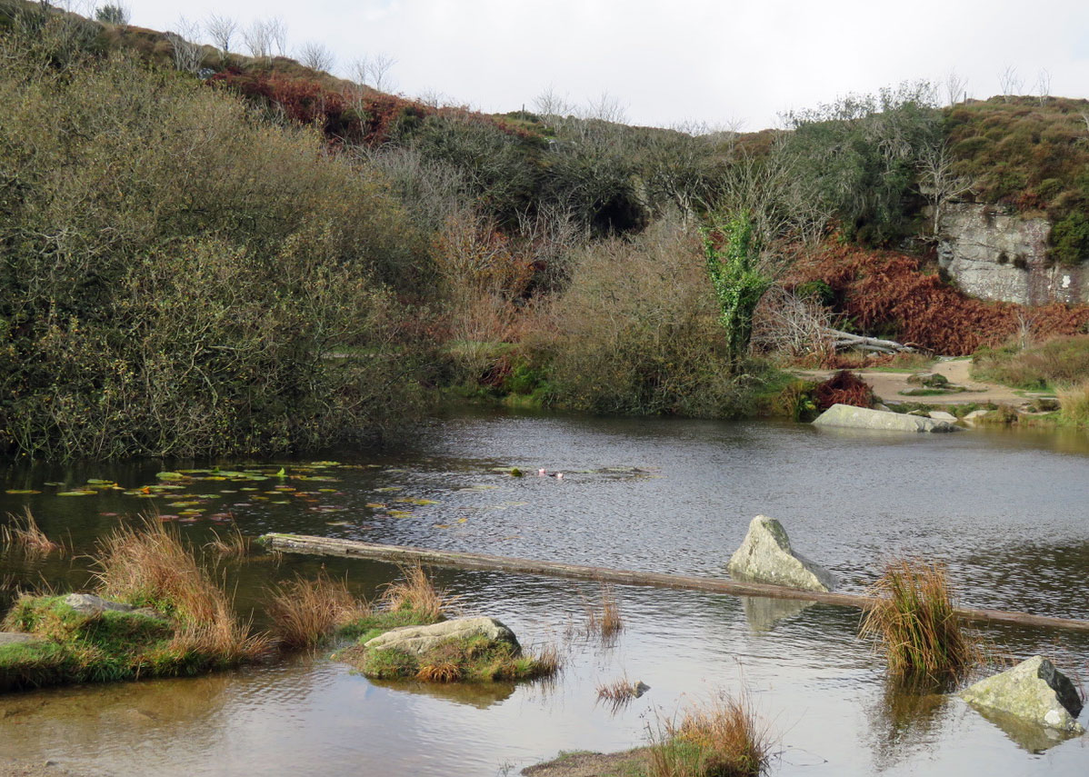 Haytor Quarry pool 1
