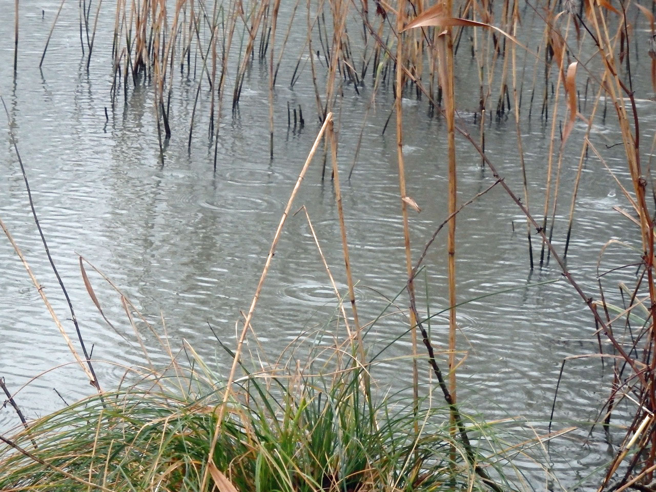 Icy still canal waters