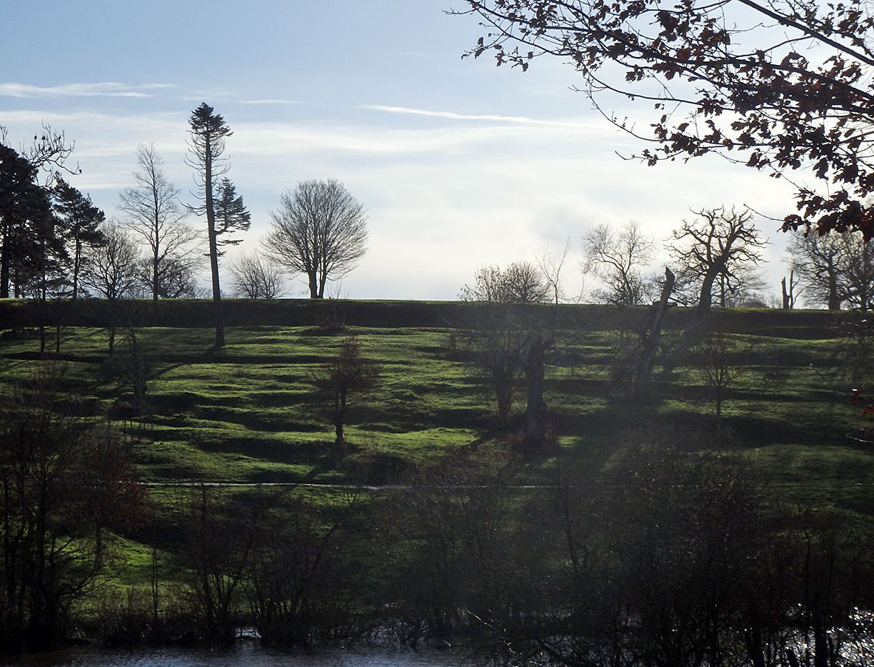 Lines and cirles in the ground