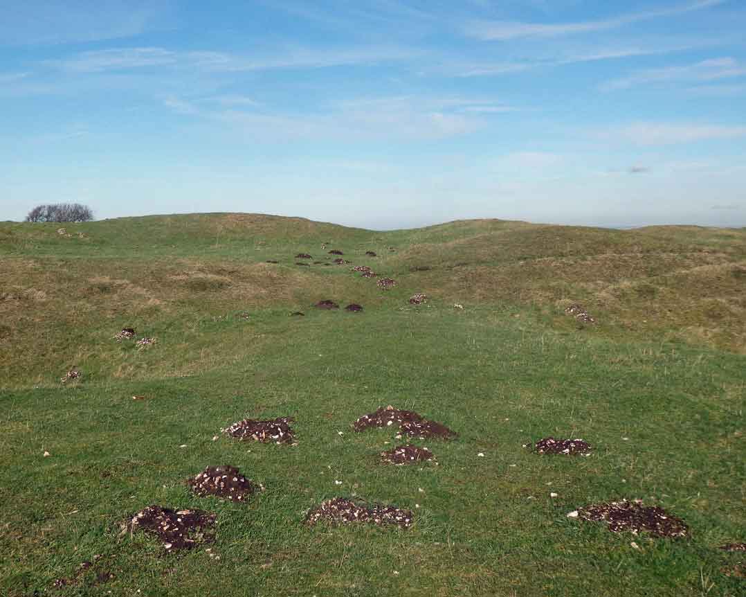 Moles mining hillfort 2