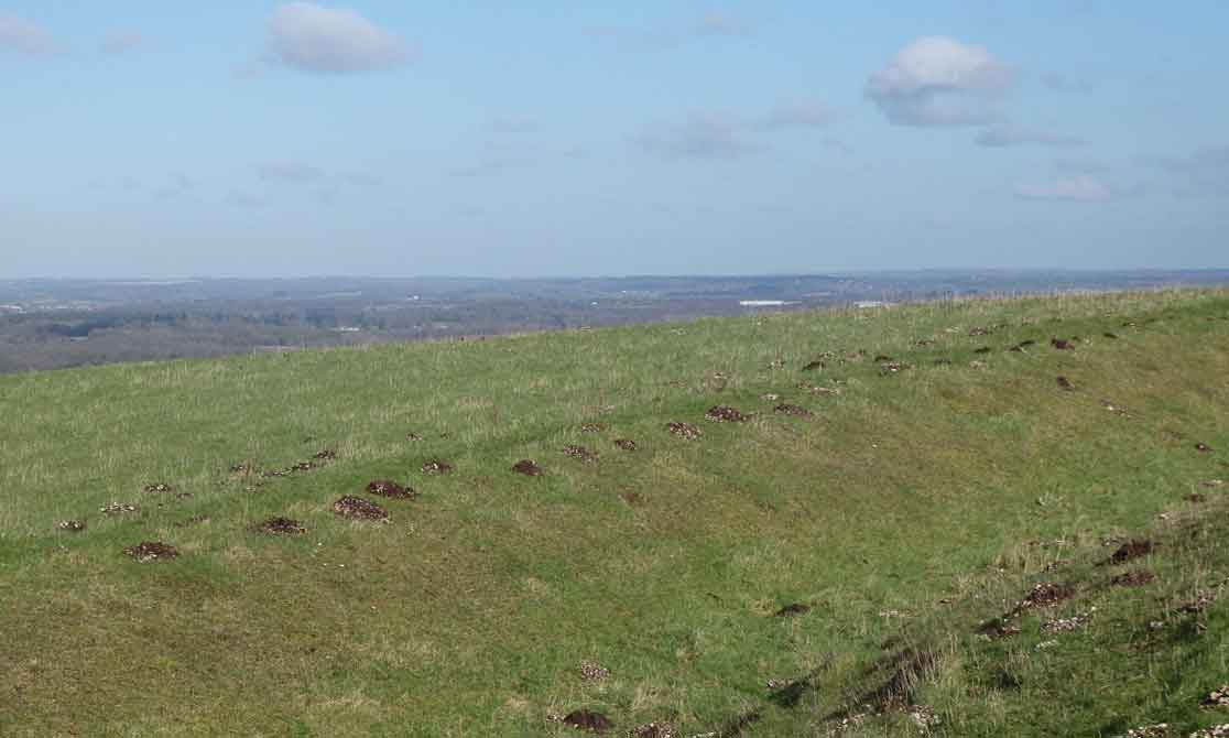 Moles mining hillfort