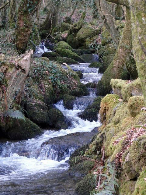 Mossy waterfall