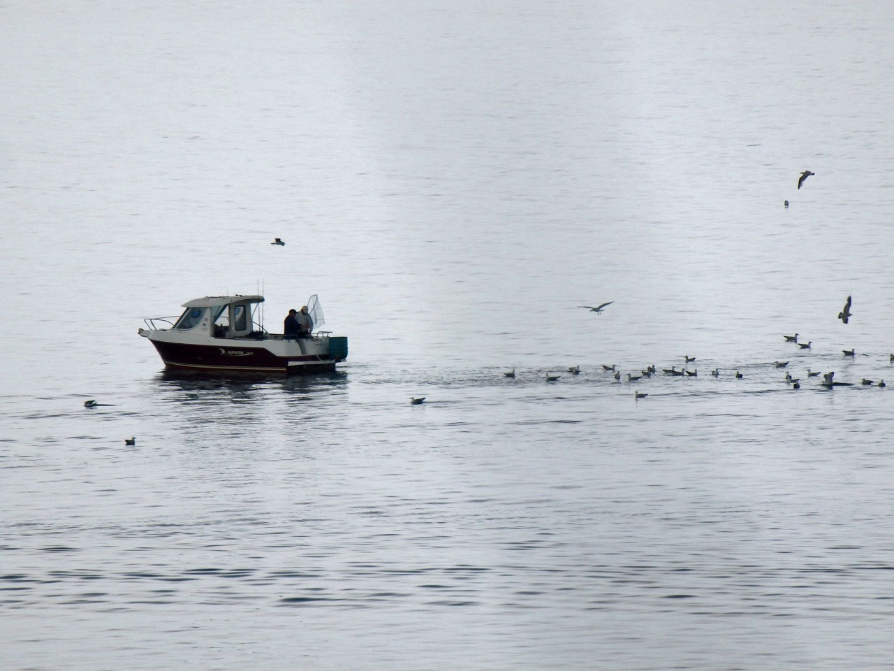 Fishing on the Helford